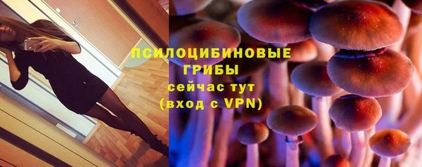 2c-b Аркадак