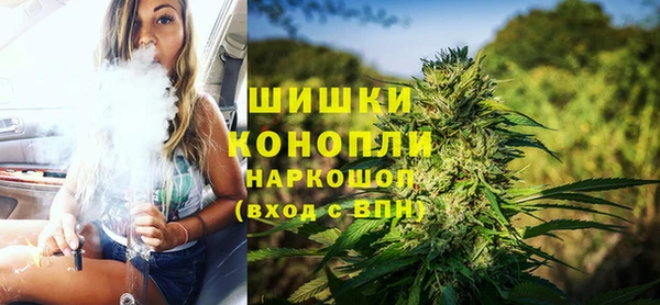 ГАЛЛЮЦИНОГЕННЫЕ ГРИБЫ Арсеньев