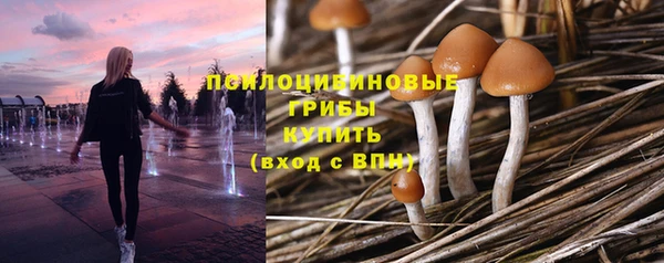 ГАЛЛЮЦИНОГЕННЫЕ ГРИБЫ Арсеньев