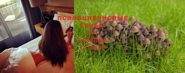ГАЛЛЮЦИНОГЕННЫЕ ГРИБЫ Арсеньев