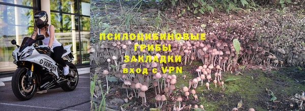 ГАЛЛЮЦИНОГЕННЫЕ ГРИБЫ Арсеньев